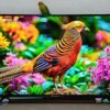 Tivi wifi 43 inch Casper