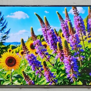 Tivi Wifi 4k 55 inch TCL